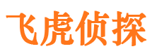 宏伟外遇调查取证